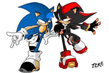  name : scar the hedgehoge sex : male colour : as same as shadow like : to kill everyone that hurts his love one power : darkness,flame. weakness : cant be patient although he is creepy but the rlly is he is rlly lonely age :15 weapon : basuka and short gun name : eric age : 11 colour : blue eye clour brown sex : male power : wind,ice weakness : brand like : to be nice he is very nice but sometimes he can be rude weapon : a samurai sword eric is the blue one and scar is the dark one