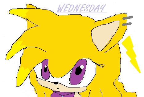  ok yay! Name: Princess Wednesday Jaxee Shocker III the Hedgehog Age: 15 Personality: well u say she has a "electrifying" personality ~ shes super happy nice spunky and a awesome person to hang with and a great fighter with some mean powerz and she has a obcession with twinkies! ^_^