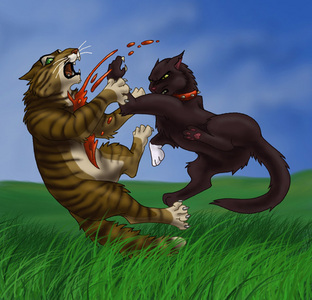  Do あなた think Tigerstar または ANY of the other evil ネコ are ever regreting their desition?