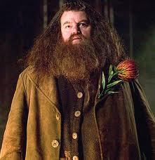  Hagrid would look the funniest in drag. Complete make-up covered face and all and a huge dress and heels...