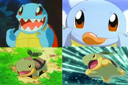  Squirtle または Turtwig