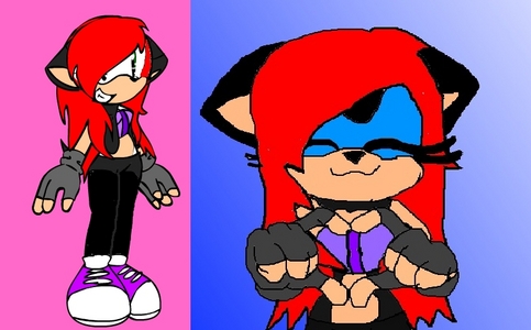 Name : krisha the hedgie

Age : 16

Personality: funny , funy , random , and likes to sleep / fight alot

Likes : her friends , random things , good people

Dislikes : scrouge and shadow and .. bad things 