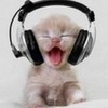 music kitten!