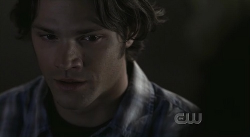  Does anyone have a screencap of Sam from Houses of the Holy that follows directly after this, when he looks up at Dean? I've been trying to find one everywhere but can't seem to find the exact moment I'm looking for.