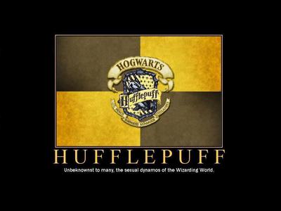  According to all the क्विज़ they'd all be Hufflepuff या Ravenclaw (Hufflepuff usually और then Ravenclaw). Which I am completely fine with. I hate when people say "I HATE HUFFLEPUFF," या "I don't wanna be in Slytherin,'cause it's evil." I, personally, think every house is fine, and I wouldn't care which house I was in, as long I could fangirl about actually being [i]in[/i] Hogwarts. I mean, आप need people in each house to keep the balance right? So I'd be happy to be in Hufflepuff because they are loyal and kind, and that's how I have always molded myself, even before I read Harry Potter. I think that each of house reflect a house once आप think about it, in at least some [i]teeny bitty[/i] way. Gryffindor is [i]really[/i] cool, and it would be pretty epic to be there, but I am not brave. It's pathetic, and may be thought of as selfish. I don't think I could die for someone, I am not brave, just loyal. A coward some could say, I don't do well under pressure and don't have a sense of adventure, usually. I don't think I'd have the guts like [SPOILER] फ्रेड and George['s ear] to die for Harry. If it came down to that, and I was my age या a bit older I'd probably break under pressure. As of Slytherin, the same reasons (basically) of Gryffindor's reasons. Not many people do, but I think of Gryffindor and Slytherin as brother houses, yet they are rivals, both are ब्रेव and courageous, ambitious and curious. They just usually follow different paths. I don't think I have the bravery to kill someone या be killed [i]for[/i] someone. I am not... [b]brave[/b]. I could've been in Ravenclaw second, because, even though I am not super smart I like knowing things, and learning [to play instruments] and value intelligence. It may not be likely as much as Hufflepuff because I am not [i]super[/i] smart, like most Ravenclaws [probably] are. I have a pretty good imagination [or at least that's what I like to think] and would probably be able to be a Ravenclaw. [b] So... I think Hufflepuff, then Ravenclaw, then Gryffindor, then finally Slytherin. Did आप understand my lecture? या did आप just scroll down to read this because it's bolded. :)[/b]