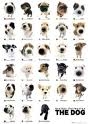  If toi can name all these chiens on the poster i will be your fan and give toi 5 hommages
