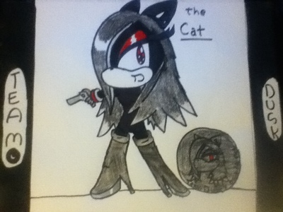  this is probably WAYYYYYYYYYYYYYYYYY off, but,name:Onyx the Black Cat age:18 Team:Team Dusk likes: bad guys,the moon and stars,darkness,guns,and bombs dislikes: girly stuff,pink,clothes,all-girl activities personallity:mean,(sometimes)leader-like, aggesive,stubborn