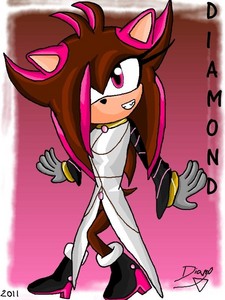  Name: Diamond Specie: Hedgehog Age: 13 Fav colors: brown and black Relationship: little with Shadow the Hedgehog Likes: Chili Dog, adventure, action, the color brown, the mystery, the बास्केटबाल, बास्केटबॉल, बास्केट बॉल Dislike: The obscury, bored, the color गुलाबी and blue, the golf Her hobbies: Piss off Shadow, seek the elixir of youth and protect the Book of Visions.