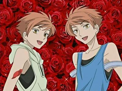  The Hitachiin Brothers from ouran high school host club