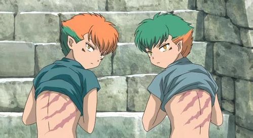  This is a picture of two twins from Inuyasha.