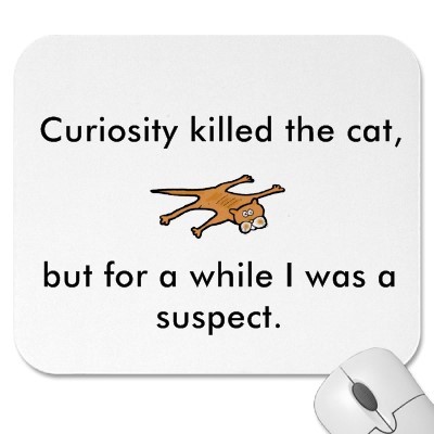  There was once a little boy named Curiosity. He was an idiot. One day, he decided to drive his mom's ferrari, and accidentally ran over a cat when he backed up. And so, Curiosity killed the cat. The end.