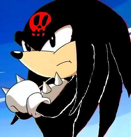  Name:Ghost Age:16 Species:Echidna Gender:Male Role:Stewie