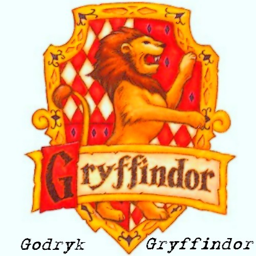  Gryffindor, of course, ;pp I wanted to be Chasers ;)