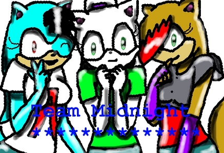  Team Midnight: (in order left to right) Alex The HedgHog, Maddie The Cat, And Lola herz (the cat) All are about 20 years old in the picture. ^^D