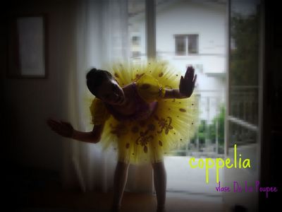  Do you like ballet ? :)