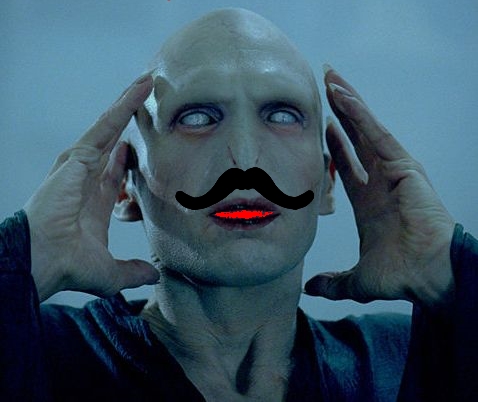  My pet moustache Voldemort.