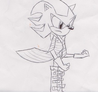  His name is Invader Zim the Hedgehog. He has all of the Chaos powers(Chaos Spear, Chaos Blast, Chaos Control) and has a large erray of weapons(Lazer Guns, Irken Smart Bombs, etc.)and has Super Zim and Hyper Zim but he also has a stronger form, wich is a mixture of Irken powers and the chaos emeralds, Super Emeralds, and the Master Emerald, wich is called Infinite Zim. And he just has the powers of Homing attack, Spindash, and Speed faster than Sonic. He is also a Master at MMA Fighting.