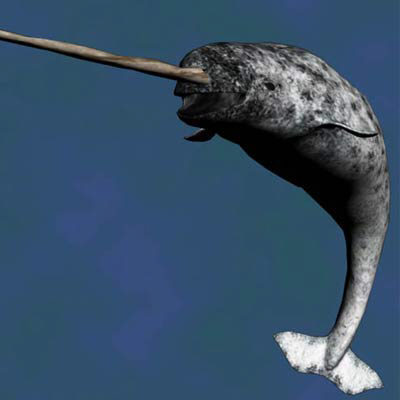  I would be a narwhal!!!! Individual in my own way and proud of it, but I died because people were too careless and didn't realize how important narwhals were :( stupid people made narwhals like me extinct. That how I think im gonna die