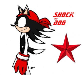  Name: Shock Birth name: Duji King Adopted name: Duji Thomas Age: 10 & 1 1/2 (11 in Sep.) DOB: 9/17/2000 Siblings: Kori the Dog, Gra the Hedgehog Parents: Dead Eyes: Green فر, سمور color: Black & white Wears: red bandanna, white gloves with red designs on them. And red and white shoes. Power: Electricity Abilities: He can strike his enemies with several lightning bolts from the sky. He can fly using his electrical powers, create an electrical force field, channel electricity through any solid thing that doesn't break, and an electric whip. And simply zap آپ with electricity. Weakness: Water & anything rubber He likes pizza, swimming, shocking the heck outta evil with his gloves. He was born with electrical powers--the gloves just help him control them better. The "D" on his bandanna stands for his real name. The bandanna was also دیا to him سے طرف کی his parents. Ironically, Shock is most vulnerable when he attacks. If his powers are neutral, water won't hurt him. However, anytime he uses his powers, water will get him every time. If he does get wet while not using his powers, he has to wait til he is fully dry. Otherwise, he'll get shocked and kill himself. He's fast when he fly's, but not as fast as Sonic. He has natural electrical powers, but he also has a talent for acting. He may have thought he was an only child, but he does discover his twin sister, Kori. Shock and Kori are mentally linked, which means they can sense where the other one is at all times. Sadly, his parents were killed سے طرف کی an evil being in the form of a hedgehog, named Malice the Wicked, a week before his 10th birthday. He is an only child, and lives with his friend Gra (short for Gravity) the Hedgehog's family. The sad part is that, even though Shock hates evil, he is forced to do just that. All his life, he had trouble controlling his powers. Sometimes, his powers would go outta control, and end up hurting someone without meaning to. All he wanted was to be a hero like Sonic, but knew he had get his powers under control somehow. In his 10th birthday, Malice (not knowing that he killed his parents) gave Shock these special gloves that would help control his powers. But it was all a trick. After Shock put the gloves on, Malice zapped him with dark electricity, and caused him to lose his memory. He now believes he is pure Evil. But Malice knew there might be a chance he could get his memory back. Before he gave Shock the gloves, he put a small (but VERY powerful) bomb inside one of them. If Shock ever did get his memory back and refused to be evil, the electric bomb within the gloves would activate and destroy everything within a 10mi radius--himself included. He is unable to take the دستانے, دستانہ off, cause they are permanently linked to his wrists. Can Shock ever be able to regain his true memory? Will he ever break free? یا forever go against his true nature?