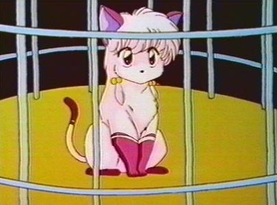 Shampoo from Ranma 1/2 in her cat form.