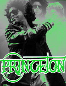  i like princeton 4 who he iz and wat he iz on the inside, if u really look at it hes not a bad guy he seems fun to be around ans sooo on but on the inside he iz nice, all of M.B is funny but still... :) jus sayin