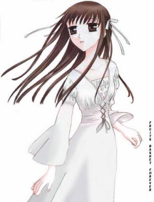  Tohru-kun of Furuba. She so sweet, but she's a... well, a "dumb brunette", I guess XD Plus, she has Kyo and Yuki totally wrapped around her finger and she's oblivious to it until book 10-ish. Maybe even later.