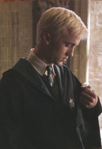  Most of the stuff I'd want I already have a replica of. I'm going to say the Half-Blood Prince's potions book and the white bird Draco used to test the vanishing cabinet (the one Ginny found, not the one that died)