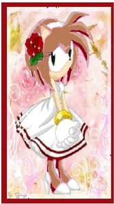  name:princess brooke the hedgehog age:15 powers:chaos blast,chaos spear,and chaos control was:fridom fighter fear:spiders