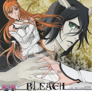 *I do not own this pictre, credit goes to owner*

I think this is sad, if you watched the Bleach episode 272 then you'd know what i'm talking about...:(
