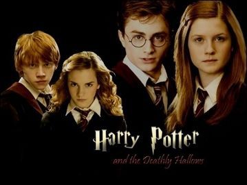  All Harry&Ginny and Romione Haters,give my a good reason why te hate them? i think both is prefect together.