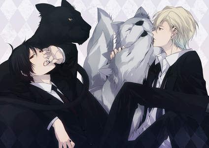  Shizuo and Izaya are currently on my desktop xD