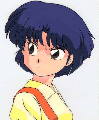  Akane Tendo. She has her okay moments, but usually she bugs the crap out of me. She's always beating up Ranma, has guys all over her when she's really not that special, and played the role of damsel in distress Mehr than once. Arguably Ranma's worst fiancée.