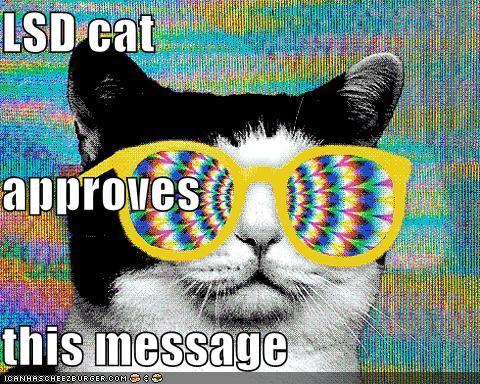  Yes and Lsd cat approves this message