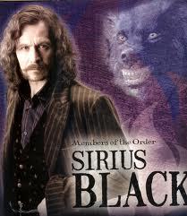  SIRIUS BLACK! SIRIUS BLACK! SIRIUS BLACK!. And oh, let's say...Luna Lovegood. Hah! Wasting it on a Twilight character, that's a joke!