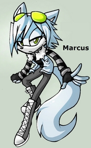  name:marcus species:wolf age:16 background: was raised in badlands and left when he could fight his way out now he only fights to protect people and if he fights to much he will kill until he regains control