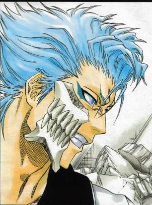 Grimmjow is awesome and my fav Espada. :D