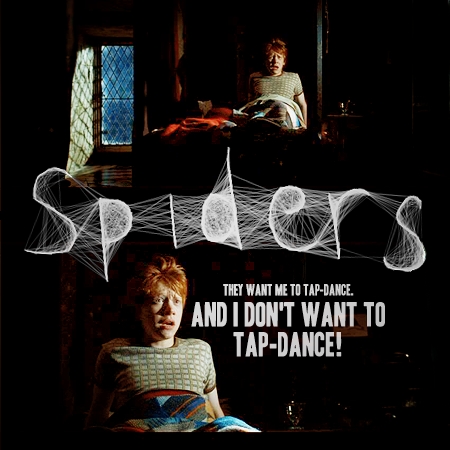  Spiders