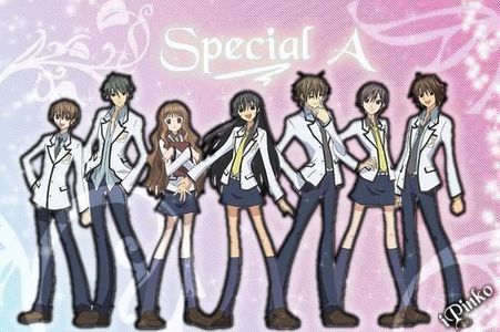  I would recommend Special A. It's about a girl, Hikari, who has been trying to get number one over a guy, Kei, for several years, but always loses to him and winds up being called "Rank Two" relentlessly. He likes her, though, and everyone can tell...except for Hikari, who is dense only in the प्यार area.