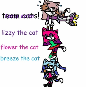  team cats! fly:lizzy the cat power:flower the cat speed:breeze the cat!! XD!!