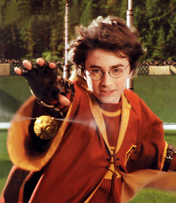  Harry first Quidditch match. What memories *_* the Golden Snitch swallowed XD