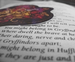 I always wanted to be in Gyffindor I just always felt I would fit in there, the house values courage, bravery, loyalty, nerve and chivalry.