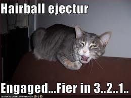  Actually, I try to avoid hairballs...
