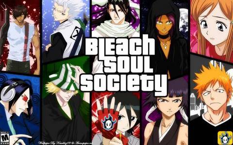  the soul society 哈哈