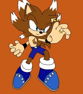  Name: Simy Species: Hedgehog Age: 20 background: was orphaned at 5, slaved for eggman for 14 years. Only been free for a few months Likes: Working out, fighting, his family Dislikes: Shadow, Eggman, Mephilis, Espio, seeing those he cares about hurt/injured/dead. relationship status: Married (hence ring on finger. lol)
