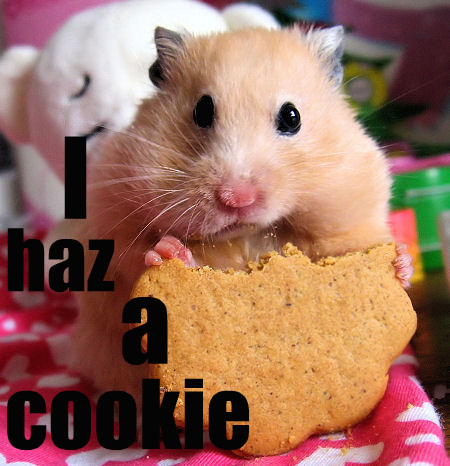  I haz a cookie once but not a blonde moment :3