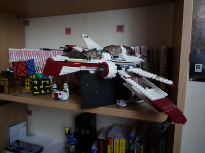 I'm a big fan of the Lego Star Wars, I have some sets like: 10178-Motorized walking AT-AT, my favorite!!!
6211-Imperial Star Destroyer
7662-Trade Federation MTT
8038-The Battle of Endor
7259-Arc-170 Starfighter
6212-X-Wing Fighter
7666-Hoth Rebel Base
6210-Jabba's Sail Barge
But I have a lot of little sets too... 