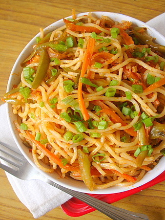 Check out http://kidszone.sailusfood.com and http://www.sailusfood.com/categories/indo-chinese-food-recipes/ for some easy and tasty recipes