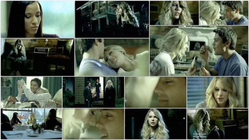 the many emotions of white horse