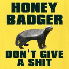  Please proceed to honey tasso, badger to have your cool story processed. ... .. Congratulations! The results are in!