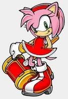 where did amy rose come from?